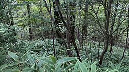 愛知県岡崎市切山町字下一色平