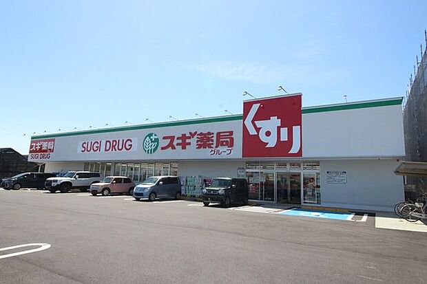 スギドラッグ岡崎西店 780m