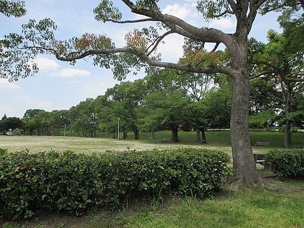 明神橋公園駐車場完備の公園です！ 310m