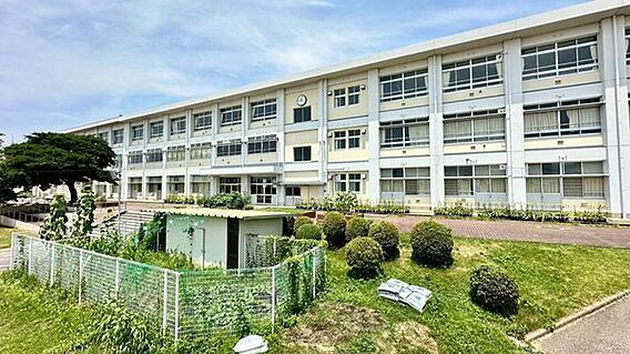 大林小学校 3...