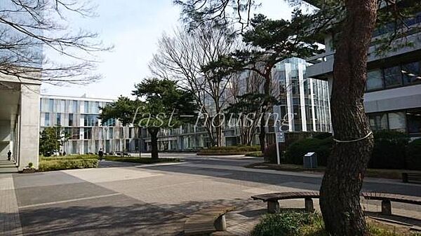 画像18:私立東京経済大学 1048m