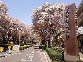 東京都小金井市桜町１丁目（賃貸アパート1K・2階・27.91㎡） その22