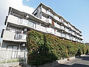 松戸駅より徒歩15分 2階 築31年8ヶ月の賃貸物件