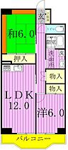 間取り：212058316717