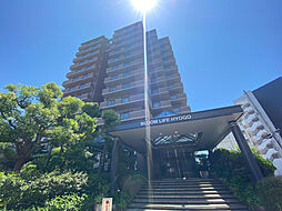 8 / 31