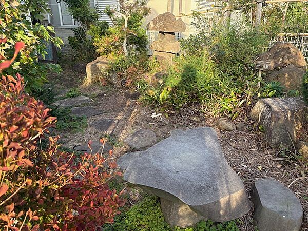 小さな庭があります