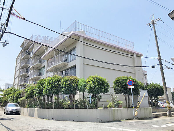 外観：328000665951