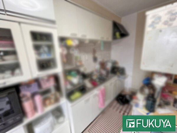 写真中の家具等の調度品は対象に含まれません。