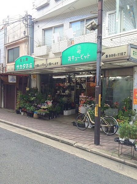 画像24:【その他】サカタ花店まで356ｍ