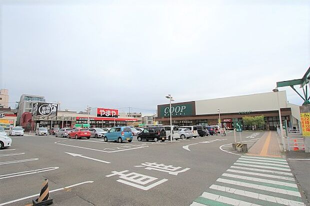 COOP MIYAGI榴岡店860ｍ