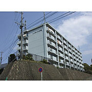 ハイライフ小笹 5階 築41年9ヶ月の賃貸物件