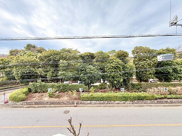 豊かな陽光に照らしだされる素敵な空間。季節を問わず華やいだ素敵な風景をお楽しみいただけます。