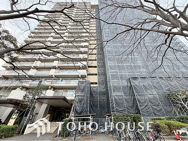 外観：313004682066