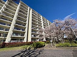 新松戸ハイツ
