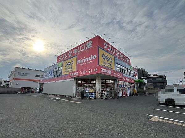 キリン堂東大阪花園店です。（物件までの距離：約600m）