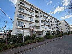 東鷲宮ニュータウン公園通り