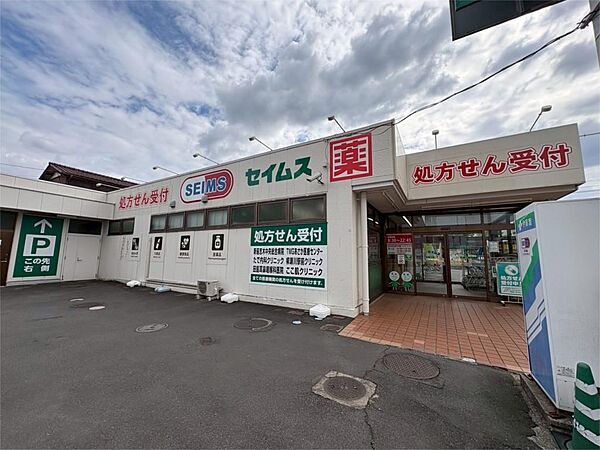 ドラッグセイムス 柳瀬川店（352m）