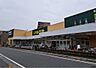 周辺：いなげや 志木柏町店（941m）