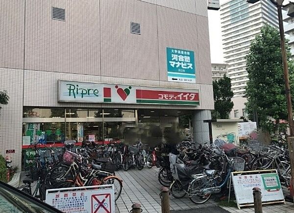 コモディイイダ 川口リプレ店（1033m）