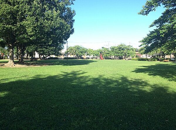 新宿第1公園（818m）