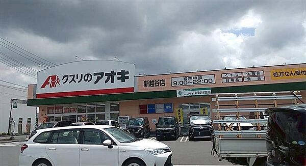 クスリのアオキ 新越谷店（493m）