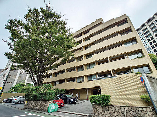 外観：313004612638