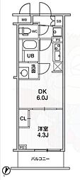 LIME RESIDENCE HIKIFUNE 1階/-