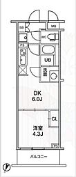 LIME RESIDENCE HIKIFUNE 1DKの間取図画像