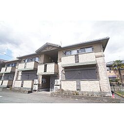 ニューポワール