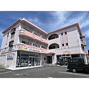 ベルハウス井野１ 3階 築36年8ヶ月の賃貸物件