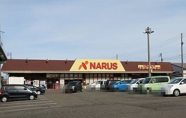 画像21:【スーパー】NARUS(ナルス) 鴨島店まで985ｍ