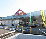 ツルハドラッグ 大津石山店まで897m