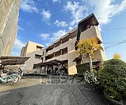 メゾンドール東条 3階 築39年4ヶ月の賃貸物件