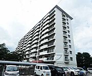 桂川ハイツ4-106 11階 築51年6ヶ月の賃貸物件