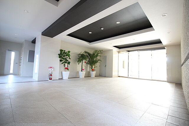 6 / 11