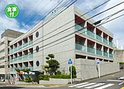 クレール湘南 3階 築31年8ヶ月の賃貸物件