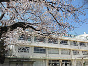品川区立宮前小学校（276m）