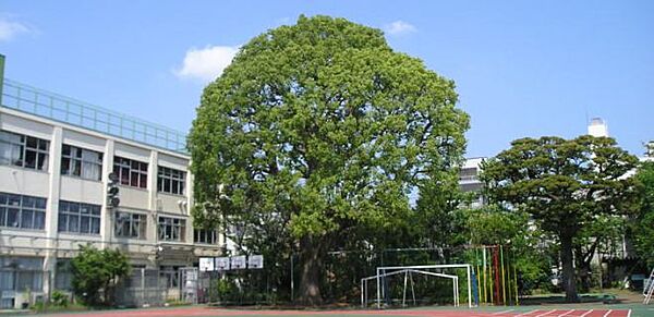 品川区立中延小学校（110m）