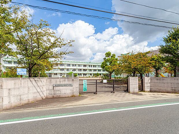 小学校 550m 葛飾区立南奥戸小学校