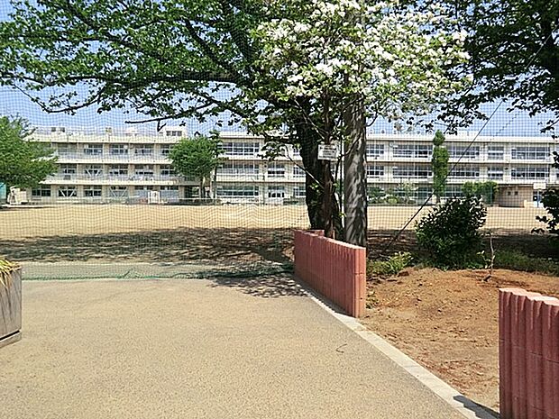 中学校 700m 川口市立幸並中学校