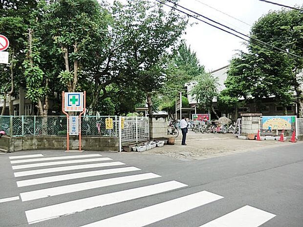 小学校 1100m 柏市立柏第一小学校