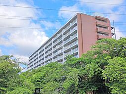 草加松原ハイツA棟