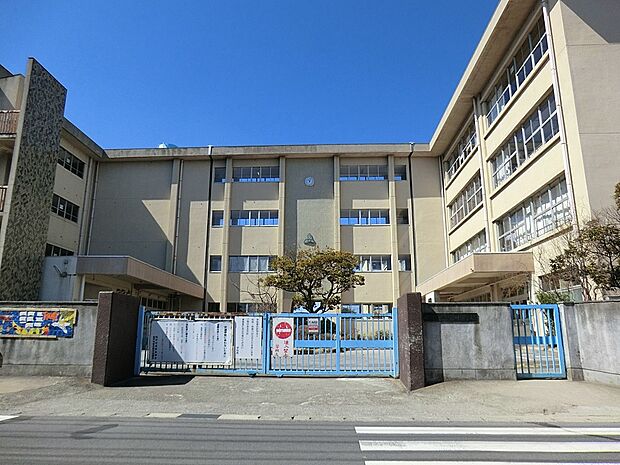 小学校 251m 松戸市立古ケ崎小学校