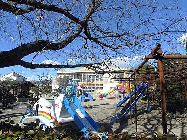 幼稚園・保育園 500m わせだ幼稚園