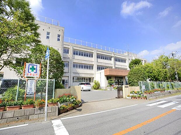 小学校 500m 柏市立花野井小学校
