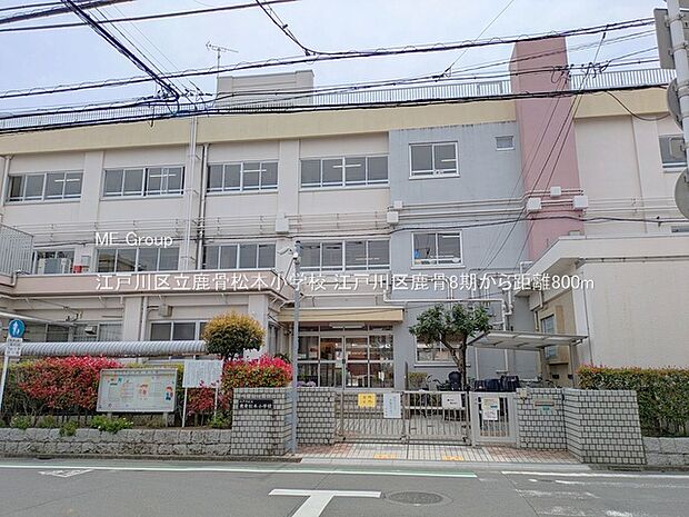 小学校 800m 江戸川区立鹿骨松本小学校