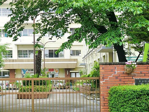 中学校 700m 葛飾区立葛美中学校