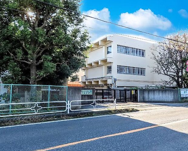 中学校 466m 柏市立酒井根中学校