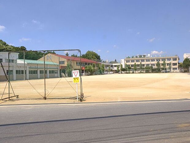 中学校 580m 柏市立土中学校