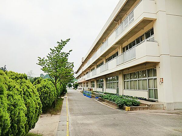 小学校 1180m 小学校-野田市立二ツ塚小学校
